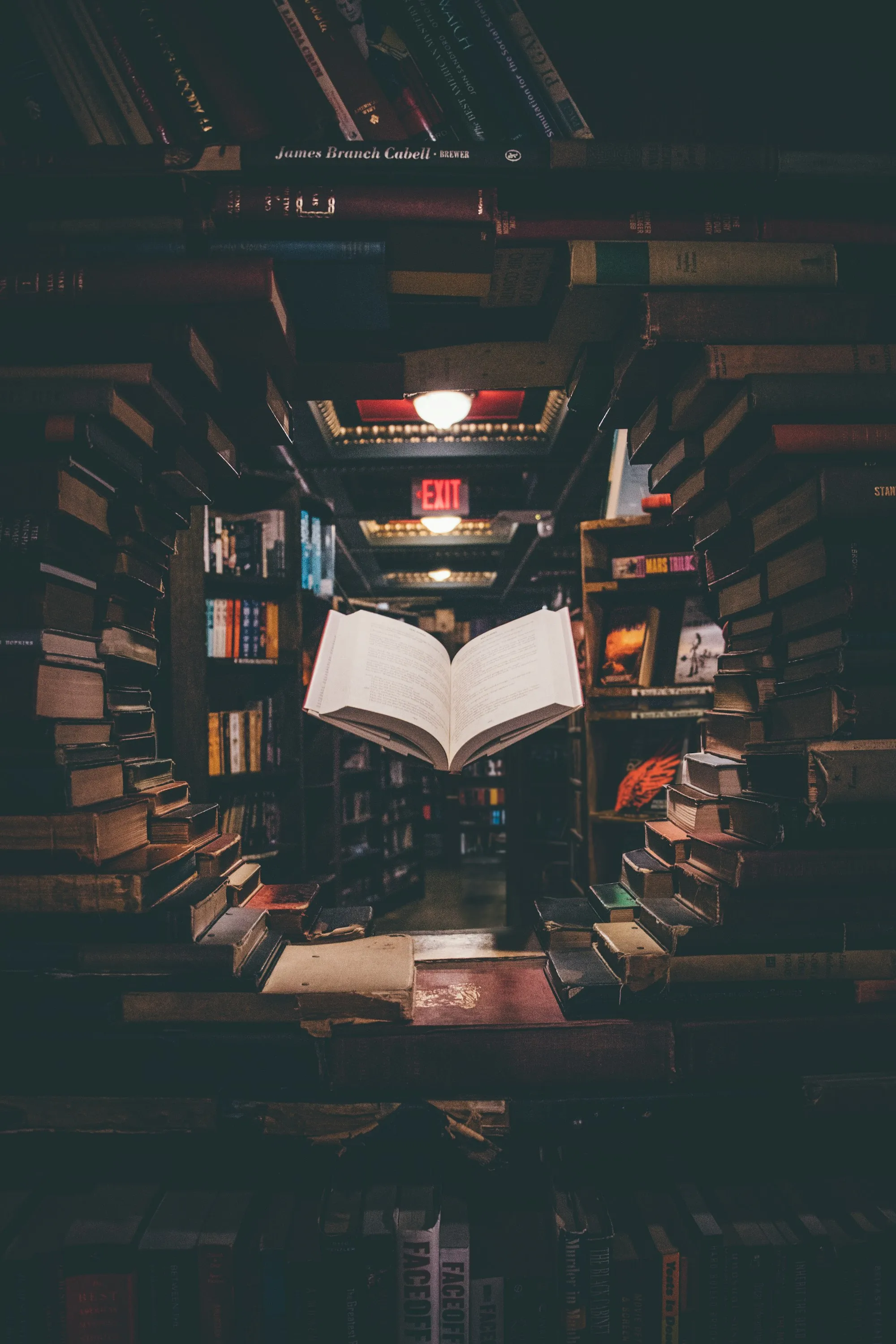 Pessoa lendo um livro em meio a estantes de uma biblioteca